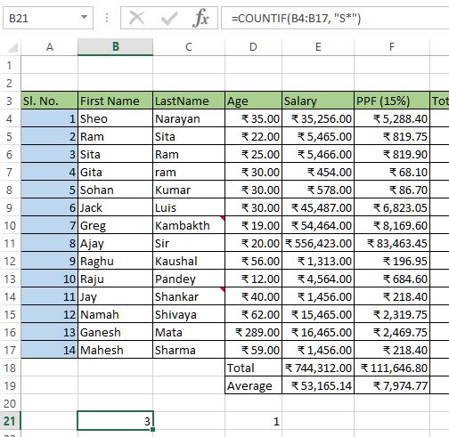 Count based on wildcard characters in excel